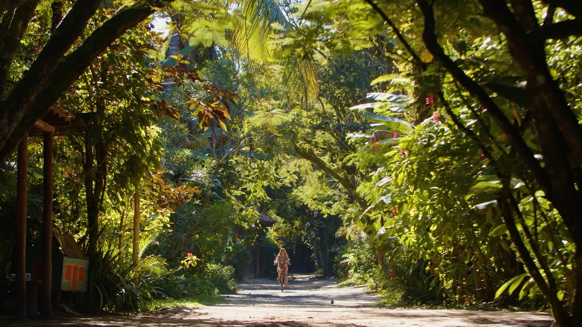 Atmosphere of Trancoso near Casas da Vila Homes